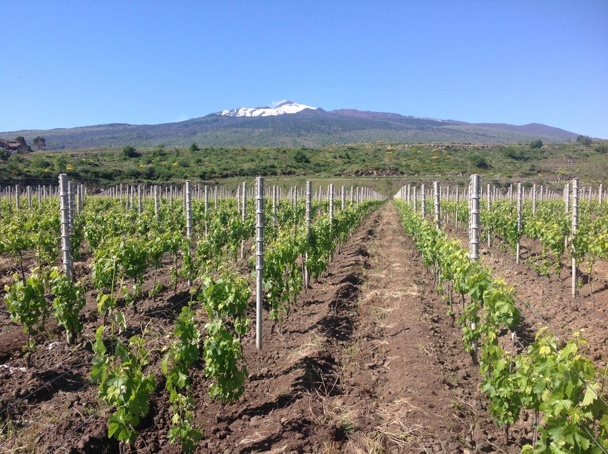 Le Contrade dell’Etna raccontate dai produttori